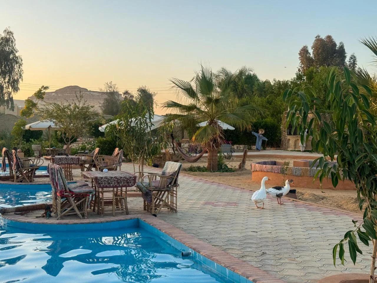 Cafour House Siwa - Hot Spring photo