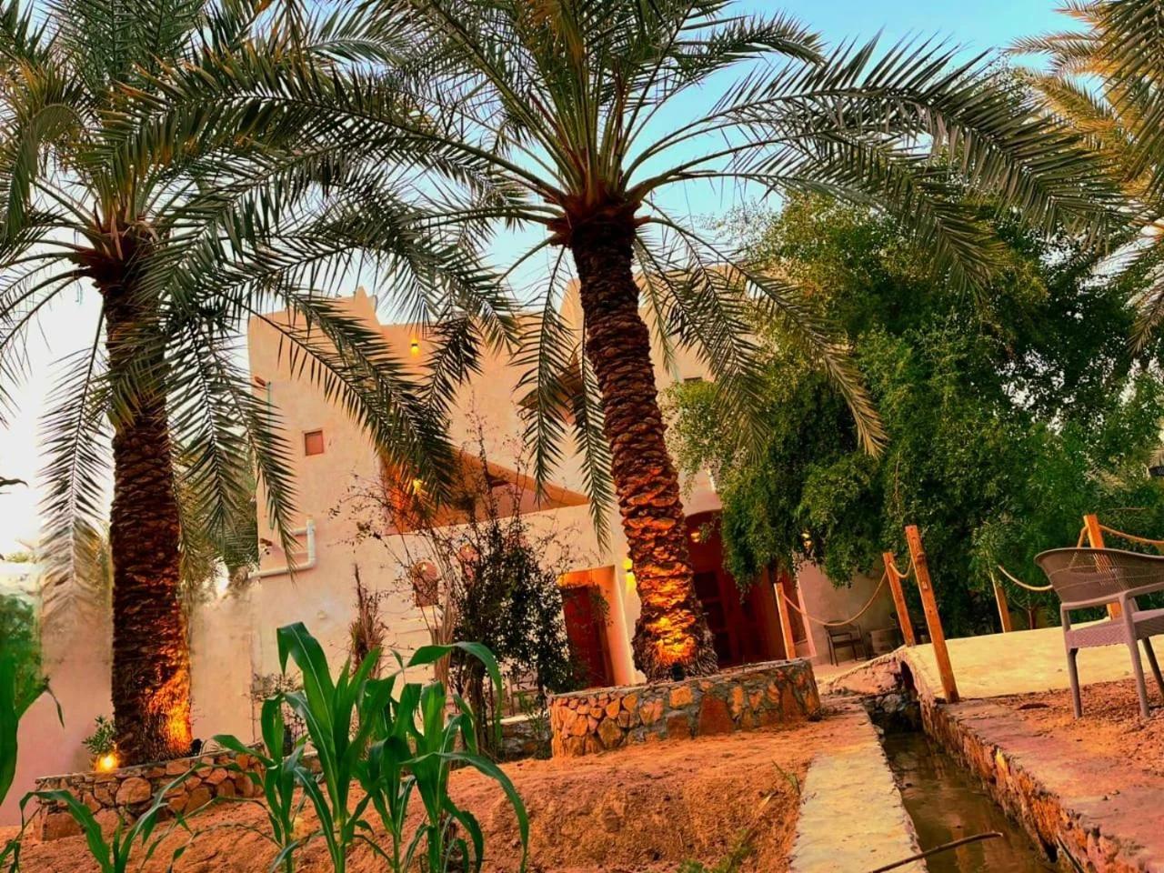 El-Beit photo