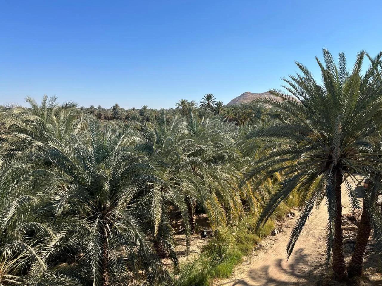 El-Beit photo
