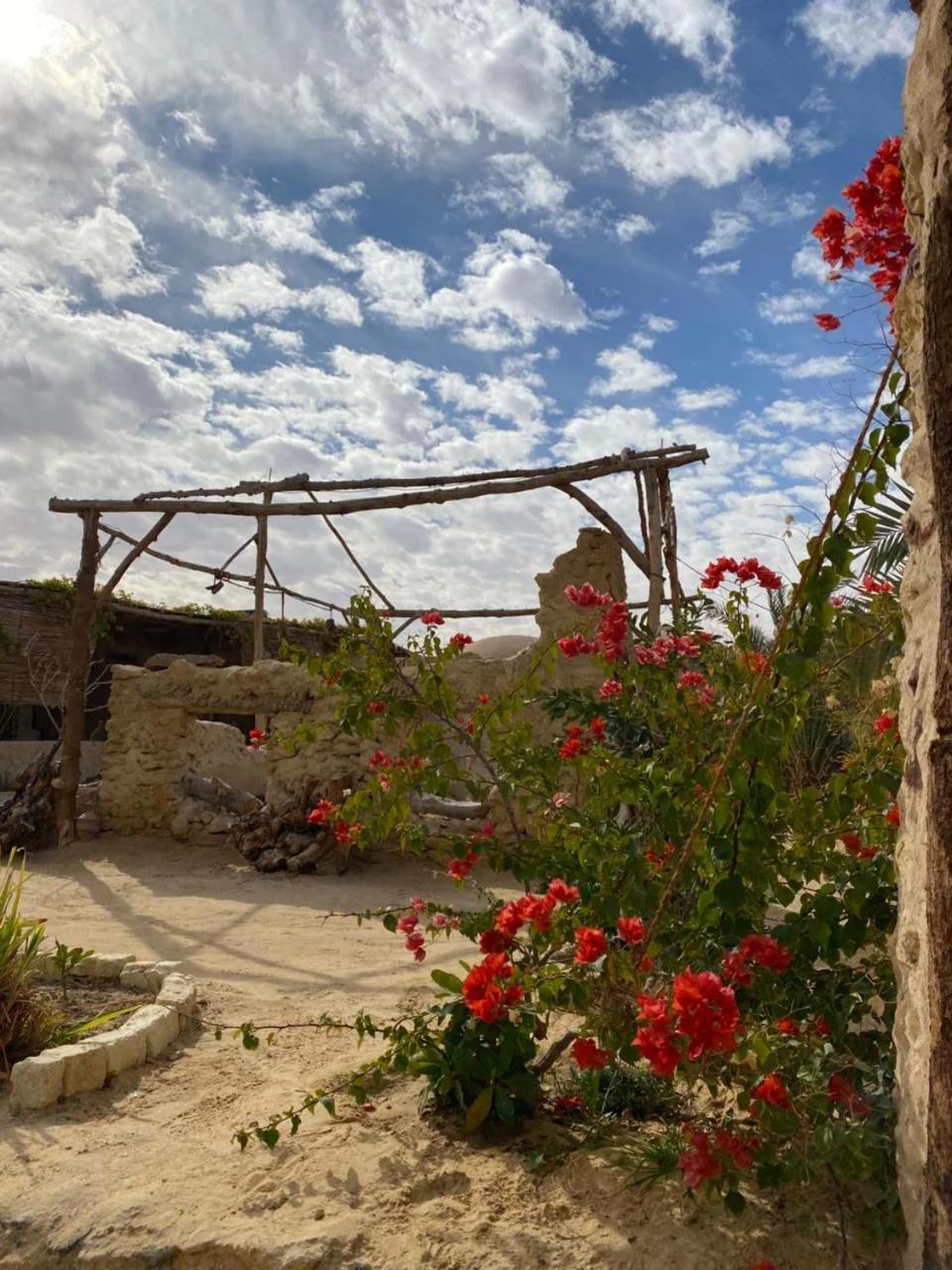 Grand Siwa photo