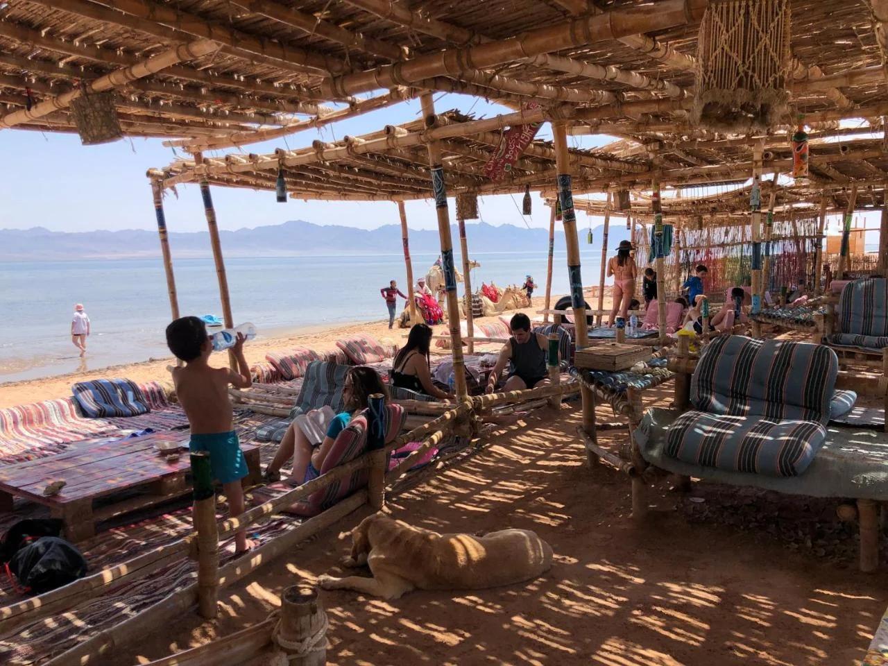 Lala Land Camp photo