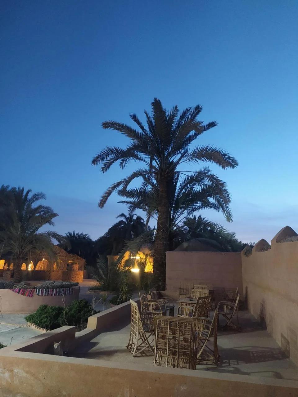 Nour El wadi photo