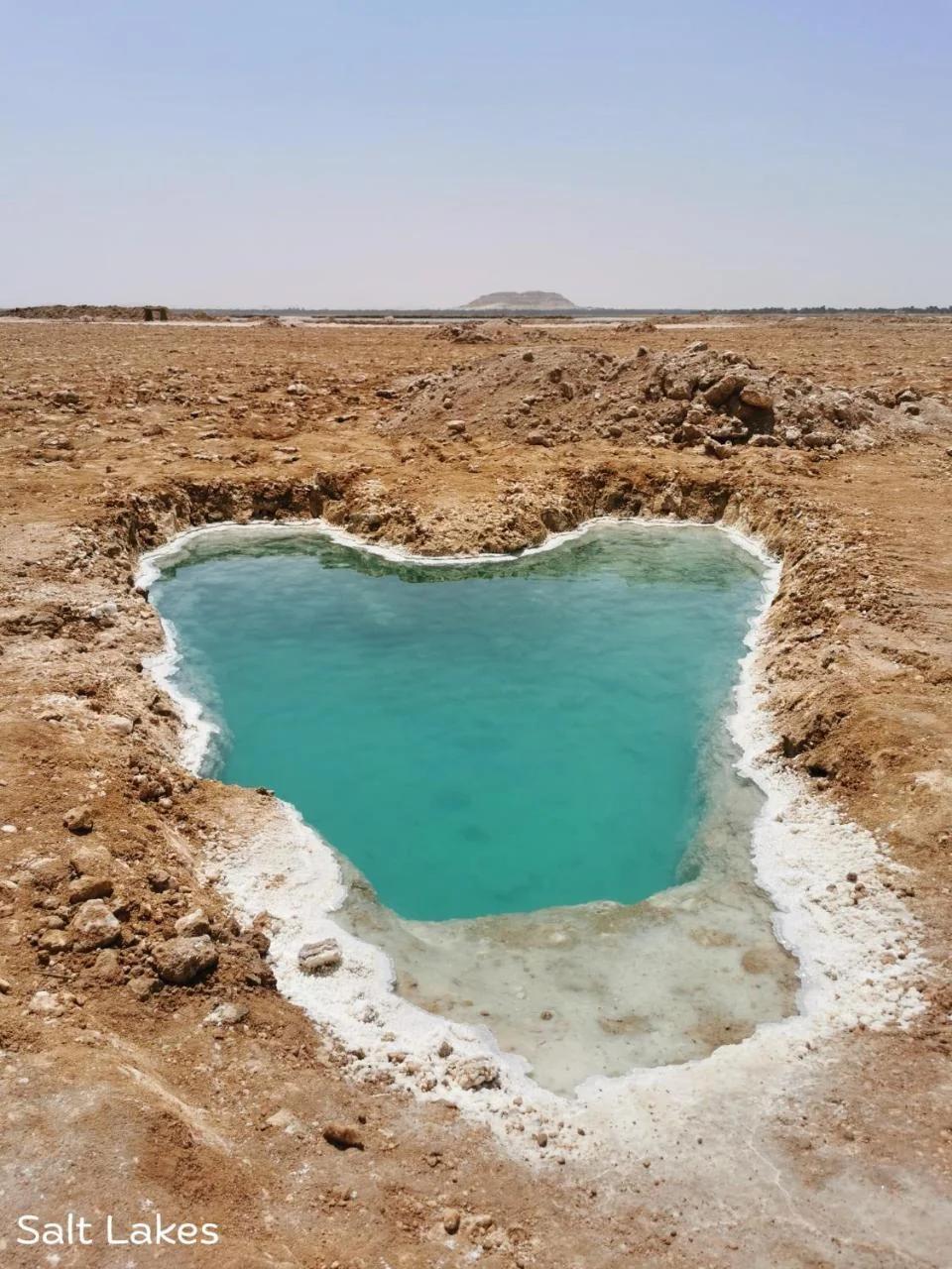 Siwa Oracle Hostel photo