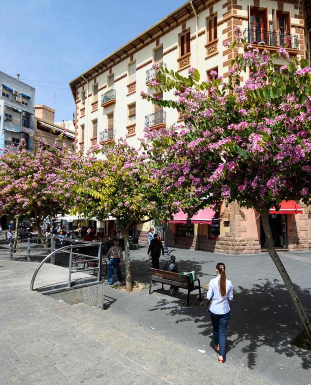 Alicante Mercado Central PARKING&APARTMENTS photo