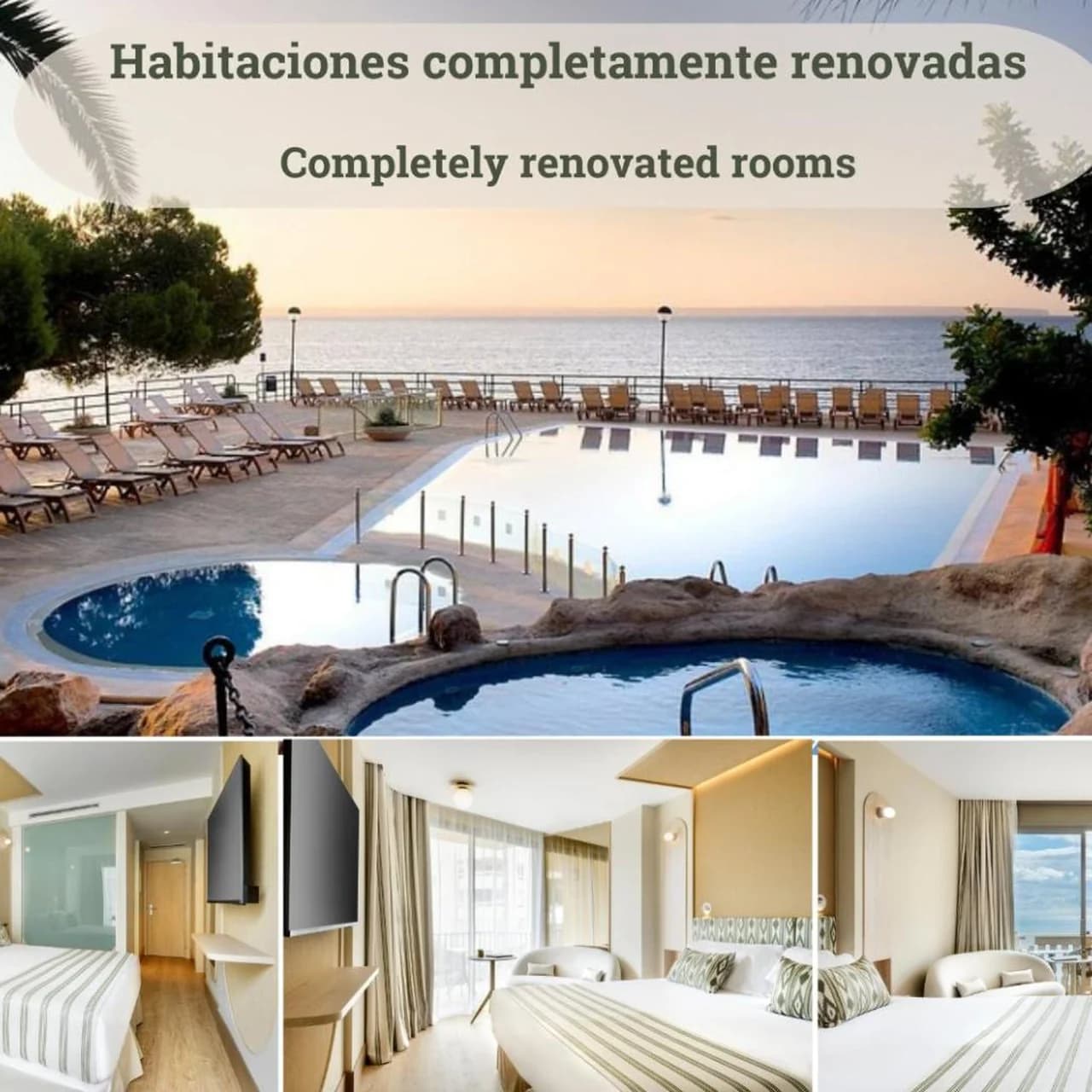 Barceló Illetas Albatros - Adults Only