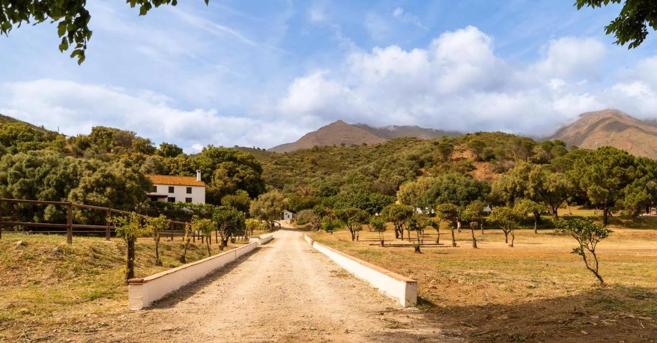 Finca Sta Teresa, Casa Grande photo