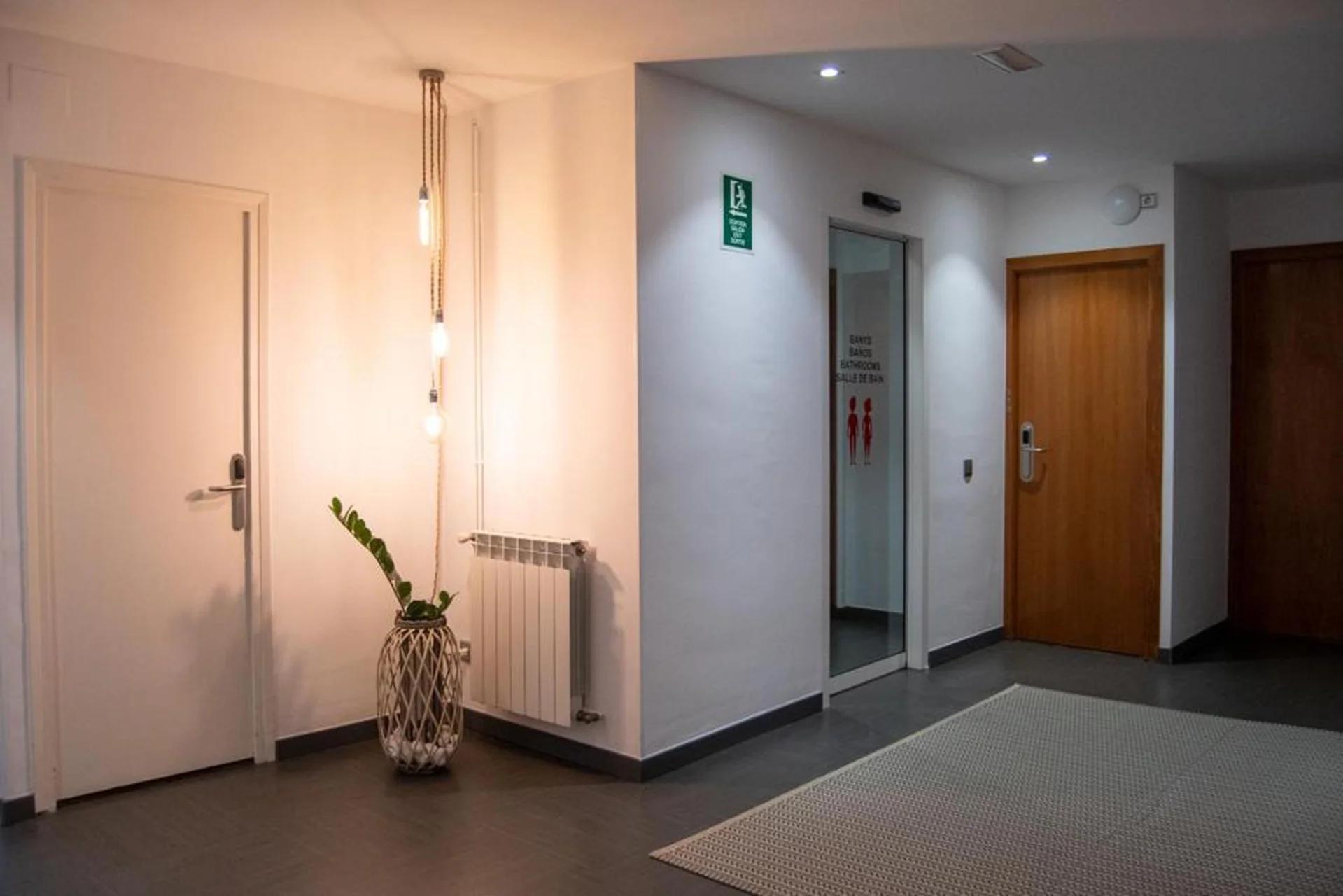 Hostal Apolo photo