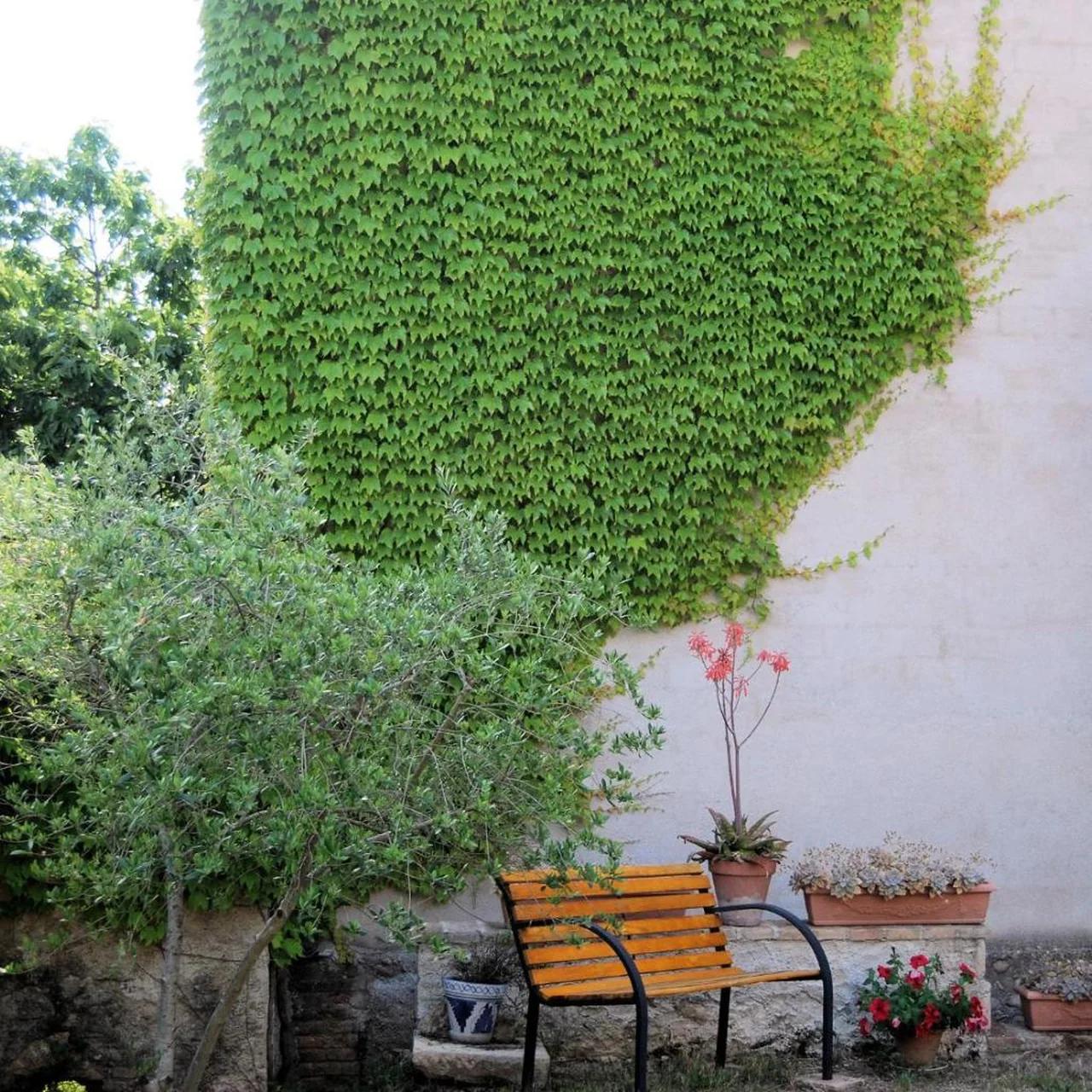 Hostal Fabrellas foto