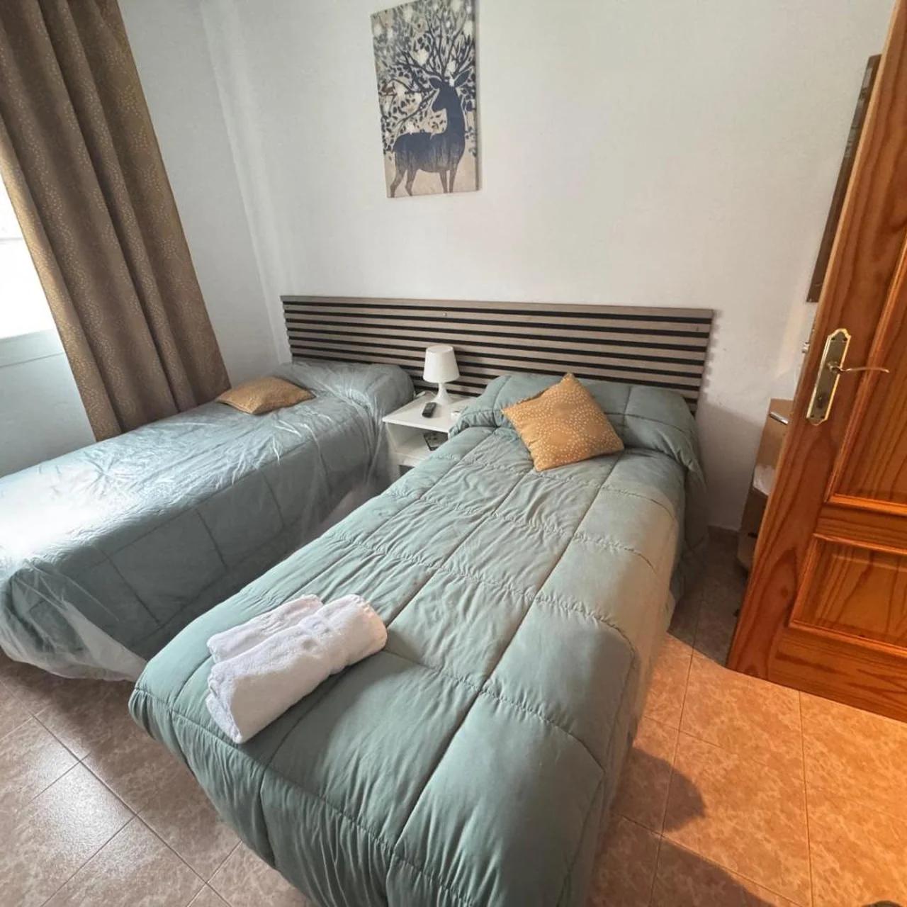 Hostal Vaticano photo