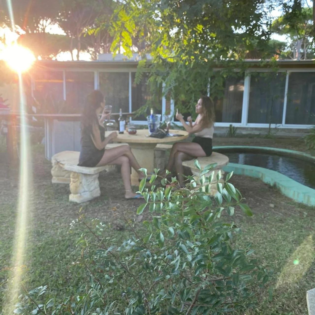 Jacaranda foto