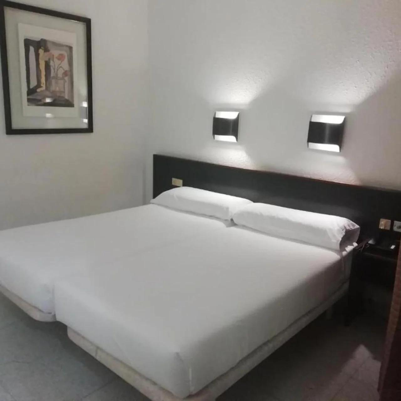 Hotel Monegal photo