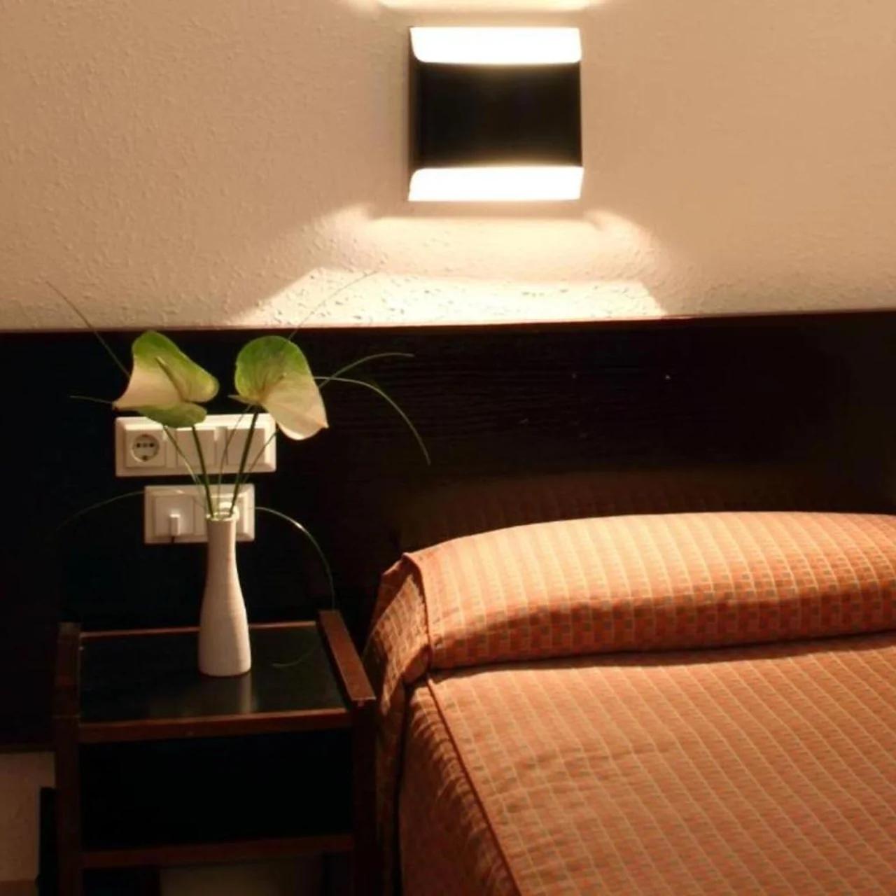 Hotel Monegal photo