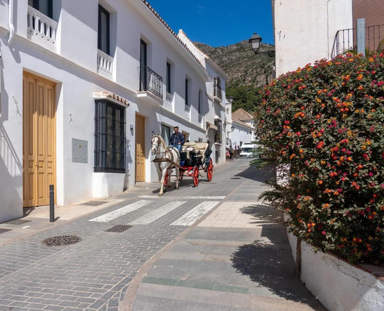 OPUNTIA Hotel Boutique photo