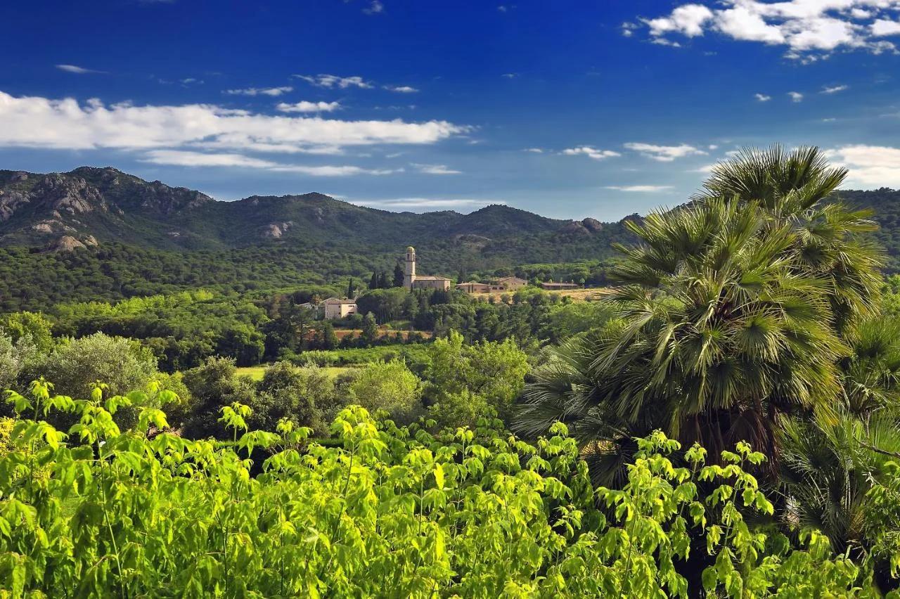 Suites Natura Mas Tapiolas photo