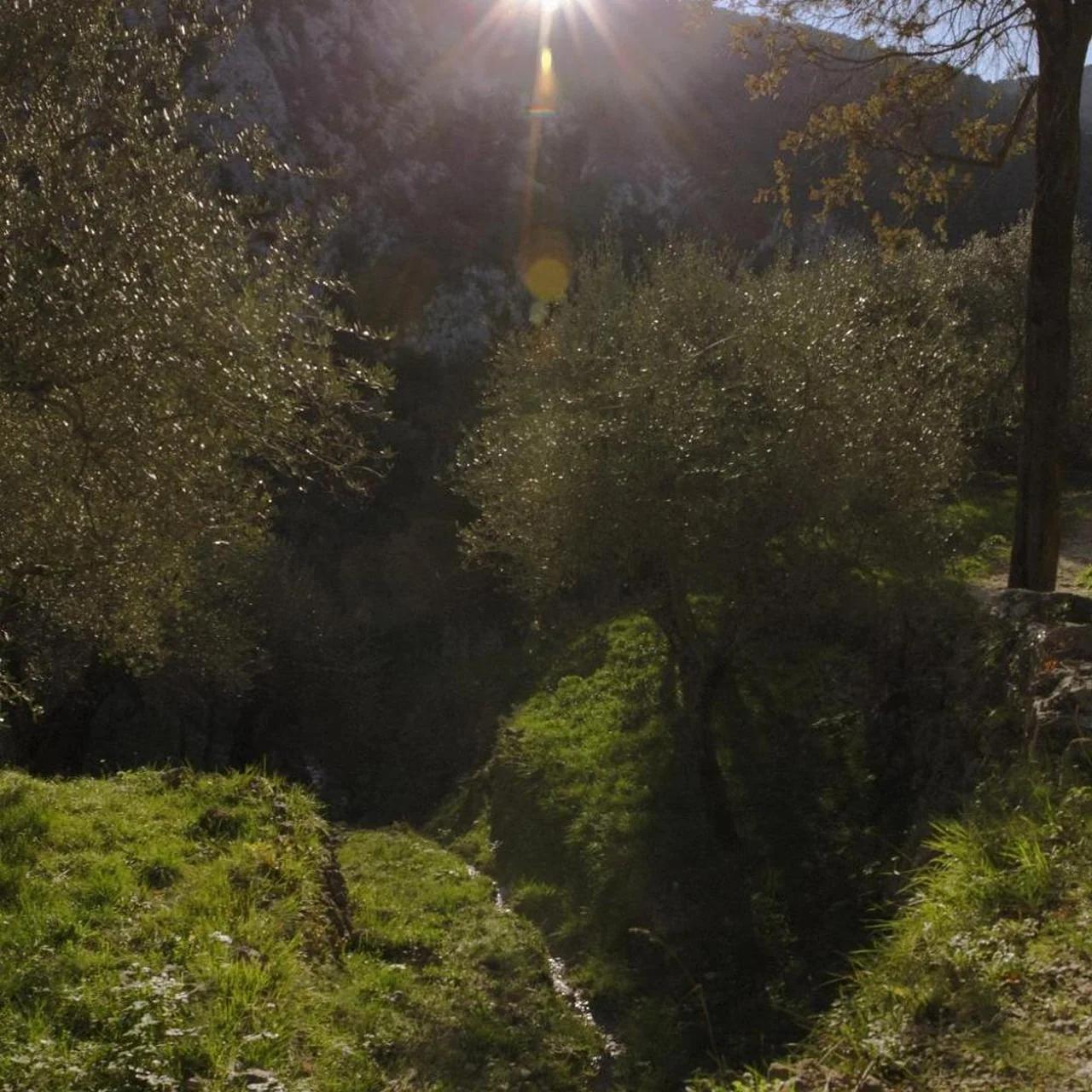 Auberge De La Madone photo