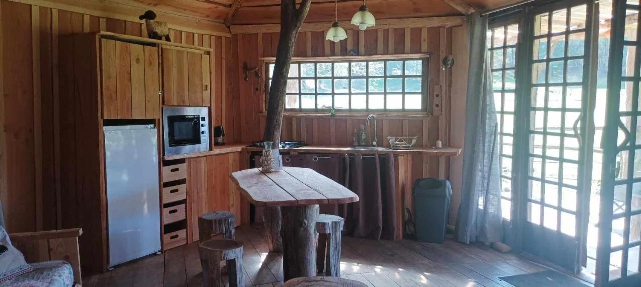 Cabanes des Landes- cabane sur pilotis photo