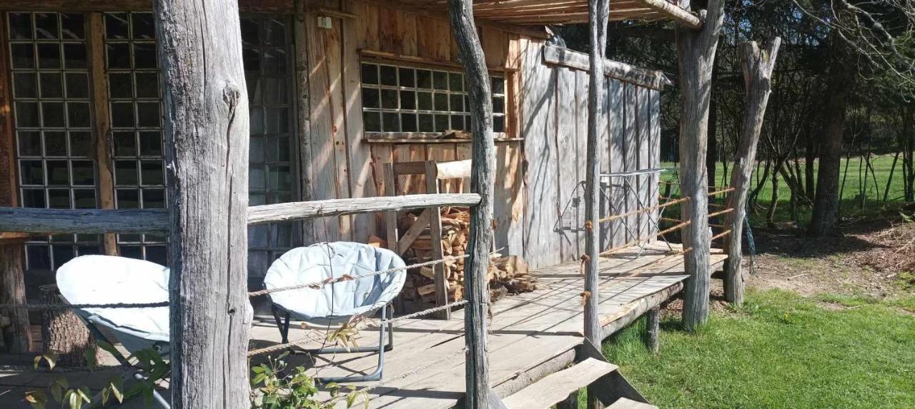 Cabanes des Landes- cabane sur pilotis photo