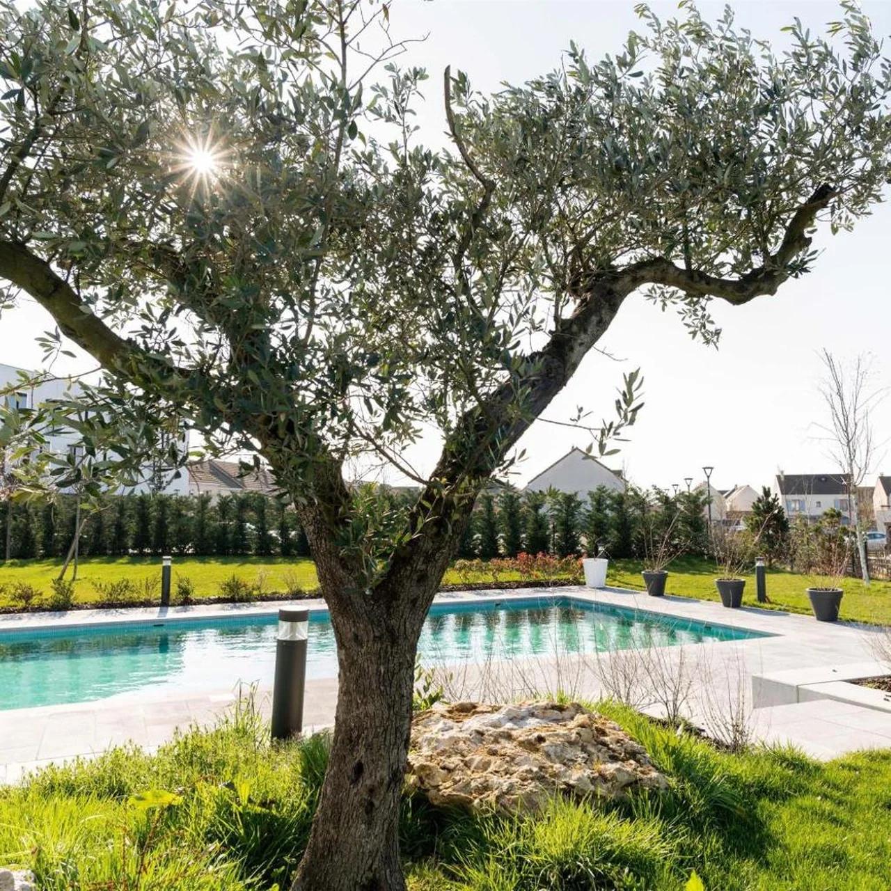 Hotel Dali Val d'Europe, Tapestry Collection by Hilton photo