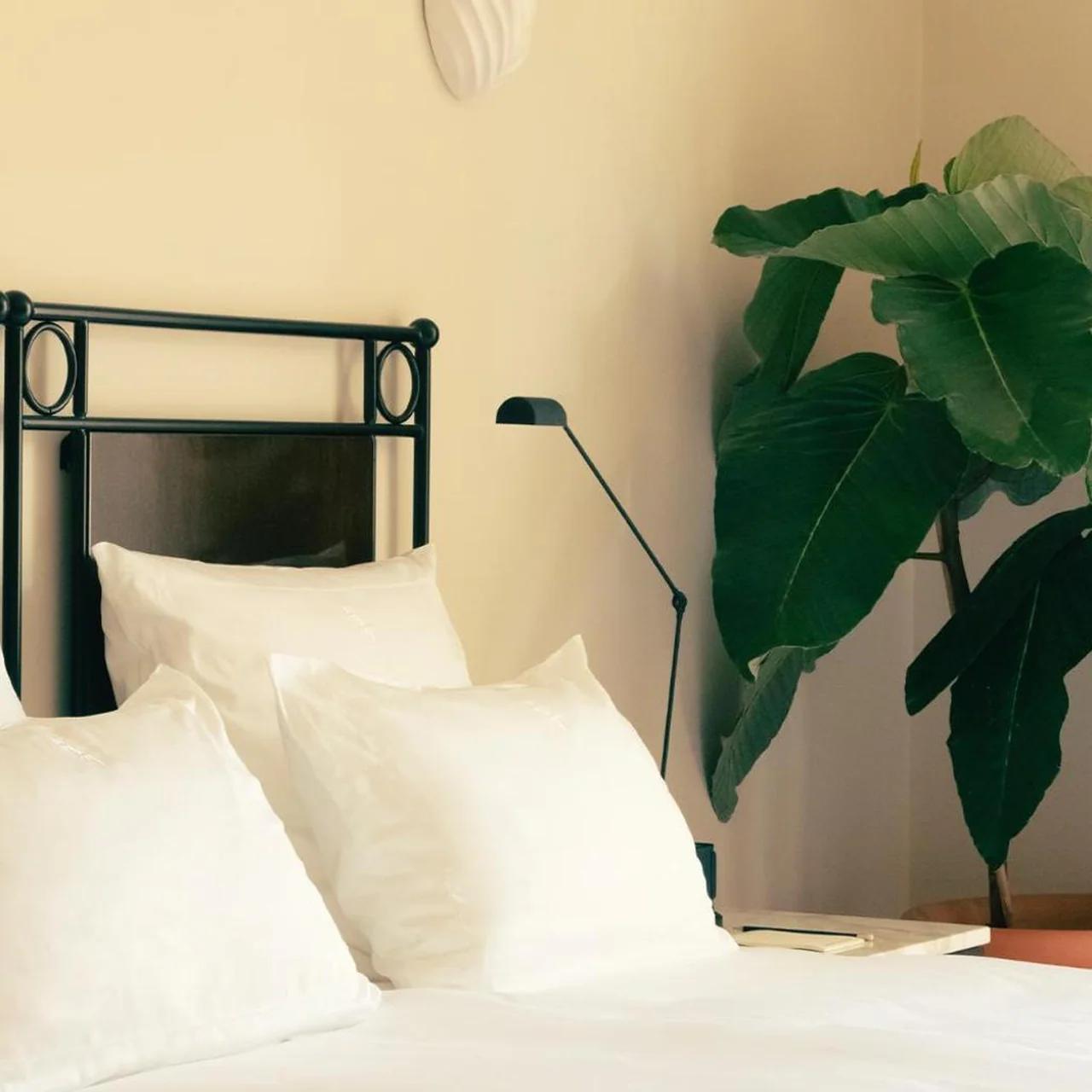 Hotel la Ponche photo