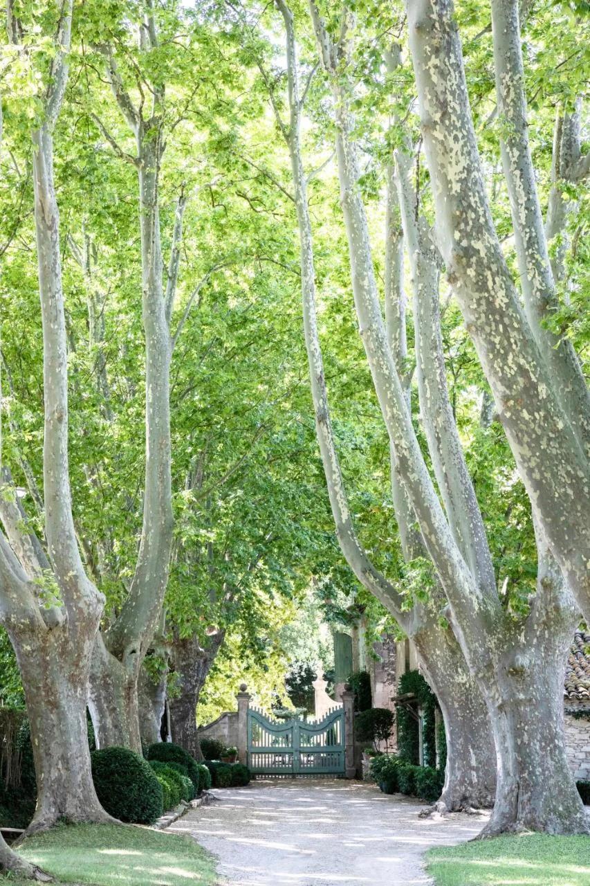Domaine de Chalamon - Fontenille Collection foto