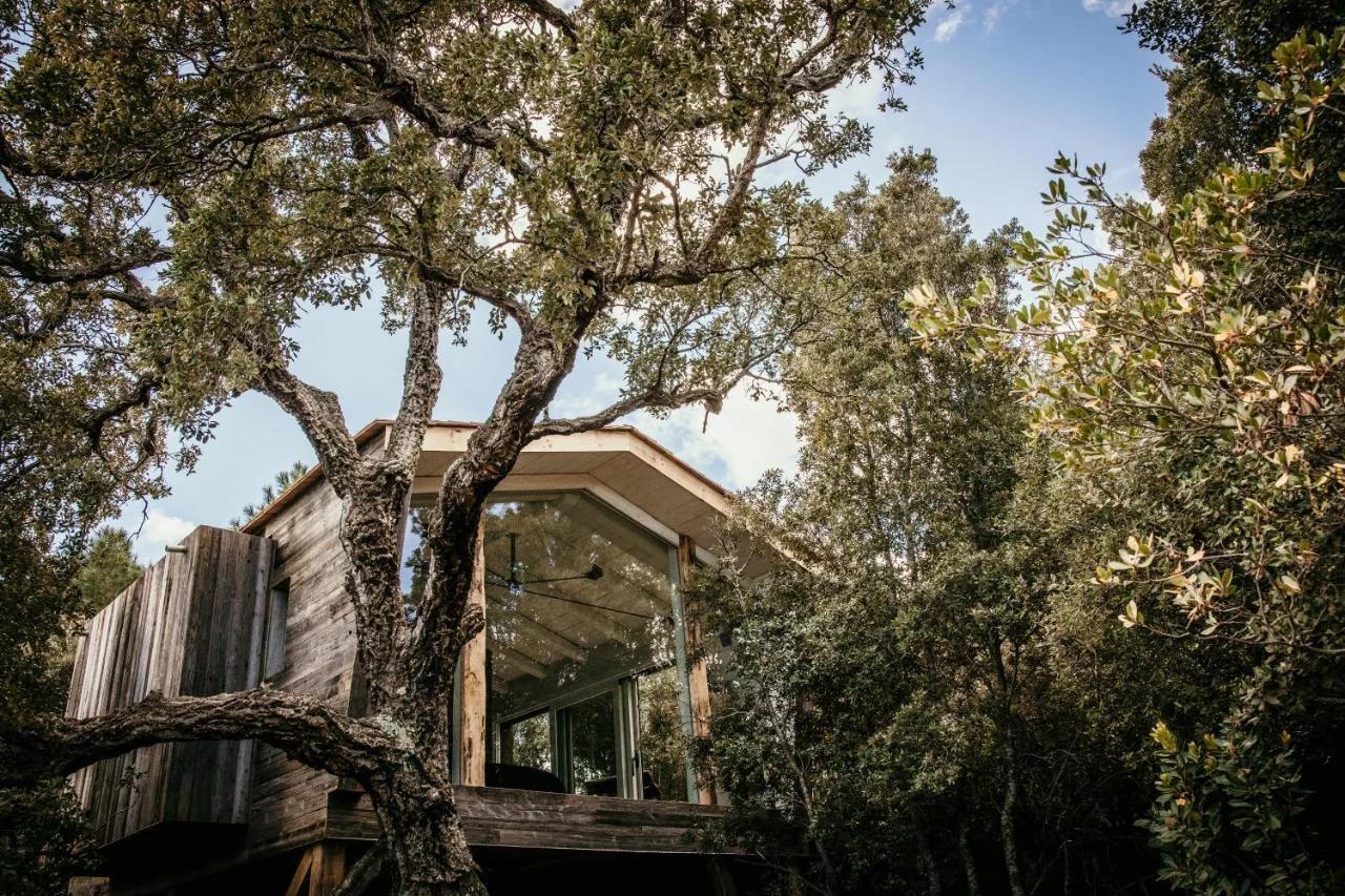 Hôtel du Domaine Casanghjulina photo