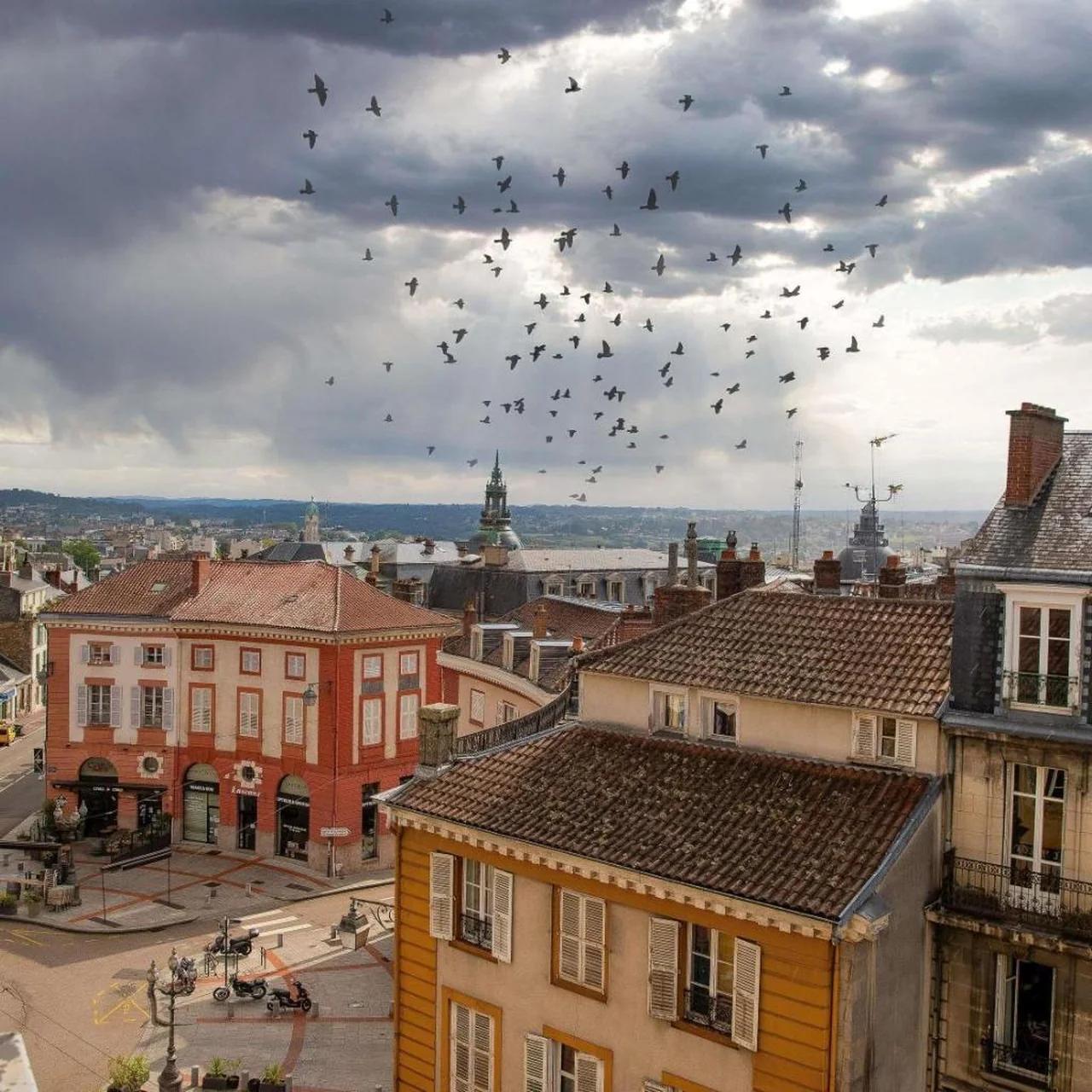 ibis Limoges Centre foto