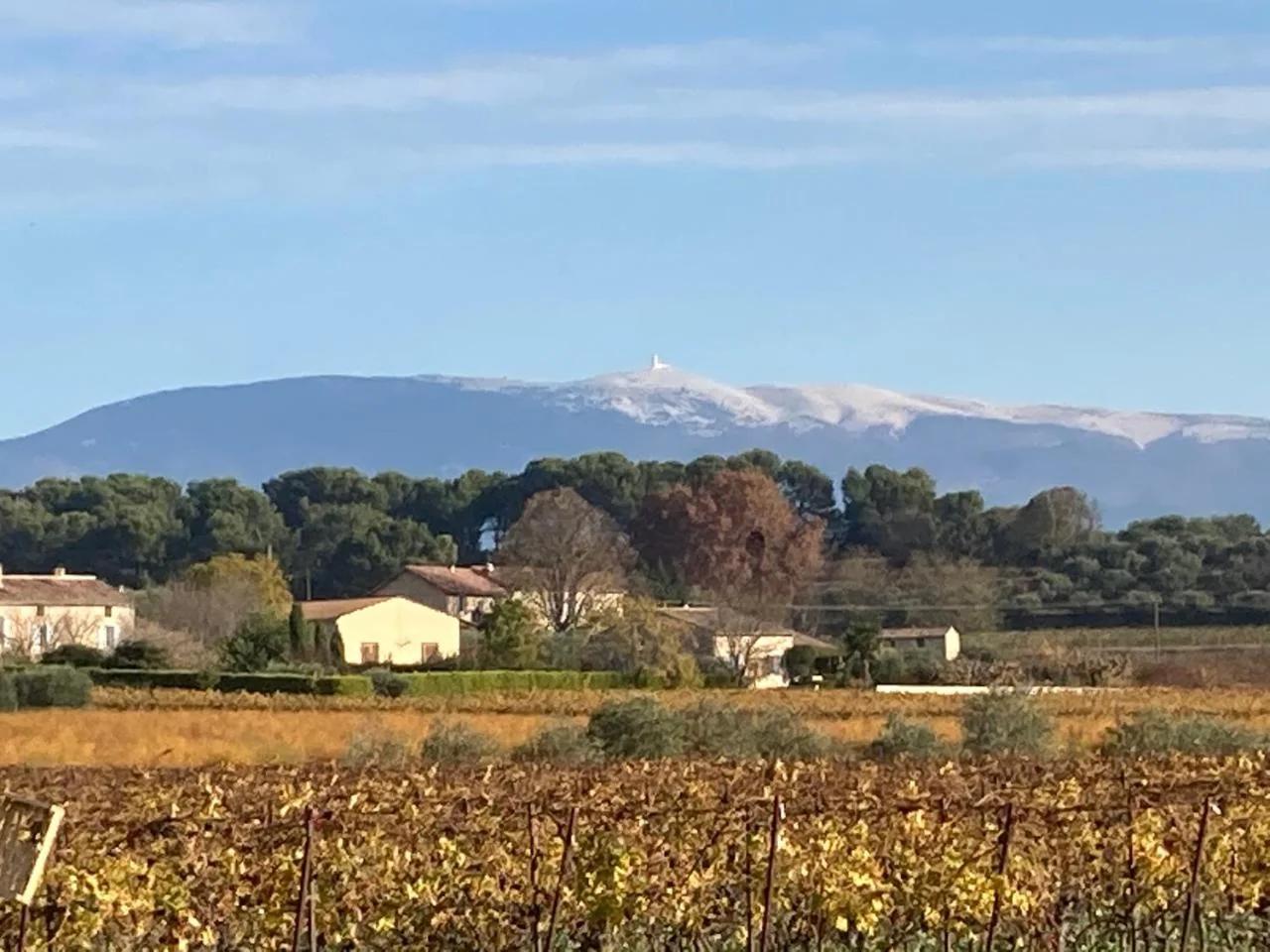 la maiZon photo