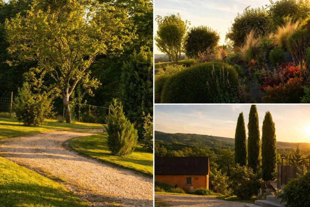 La Terrasse Étoilée photo