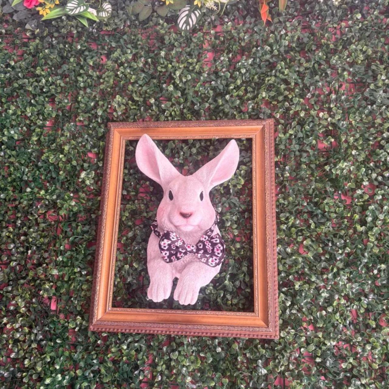 ELLO Alice Secret Garden in PAU photo