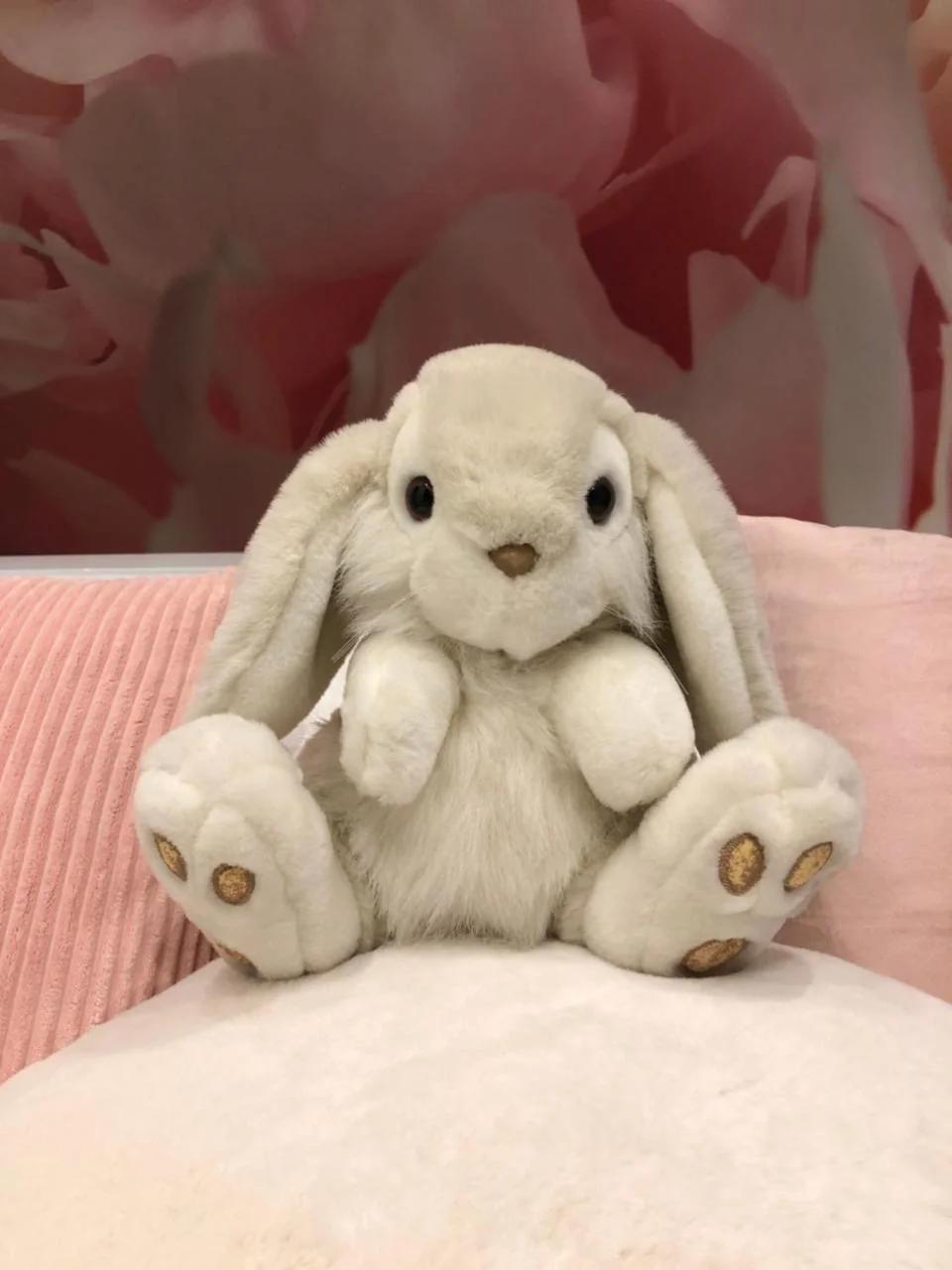 Pan Pan Le Lapin Aubagne-Cassis-Aix en Provence photo