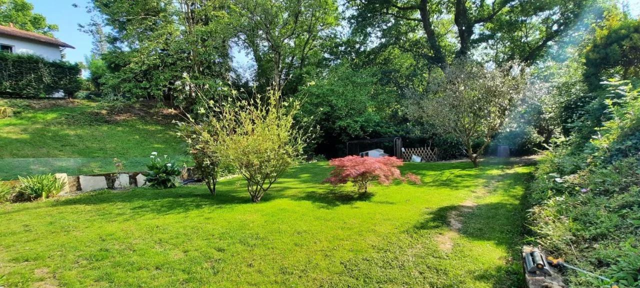PARABISU TTIKIA "Petit Paradis" foto