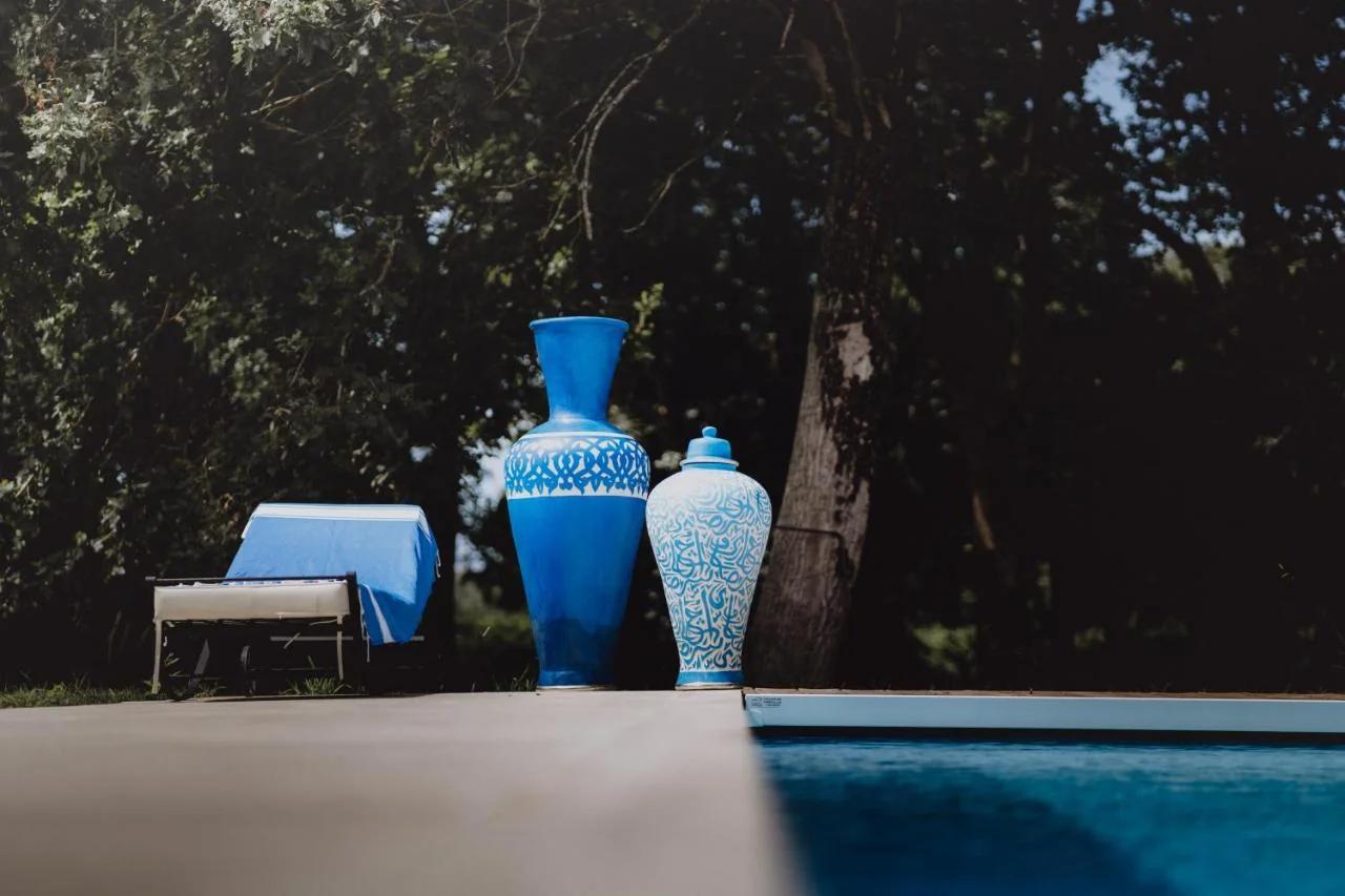 Riad Landais photo