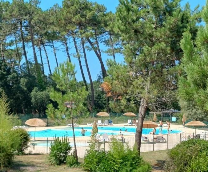 T3 Nature Ondres plage avec piscine et tennis photo