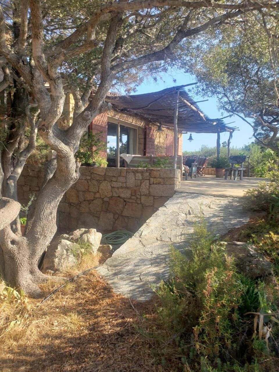 Tizzano, villa vue mer avec piscine photo