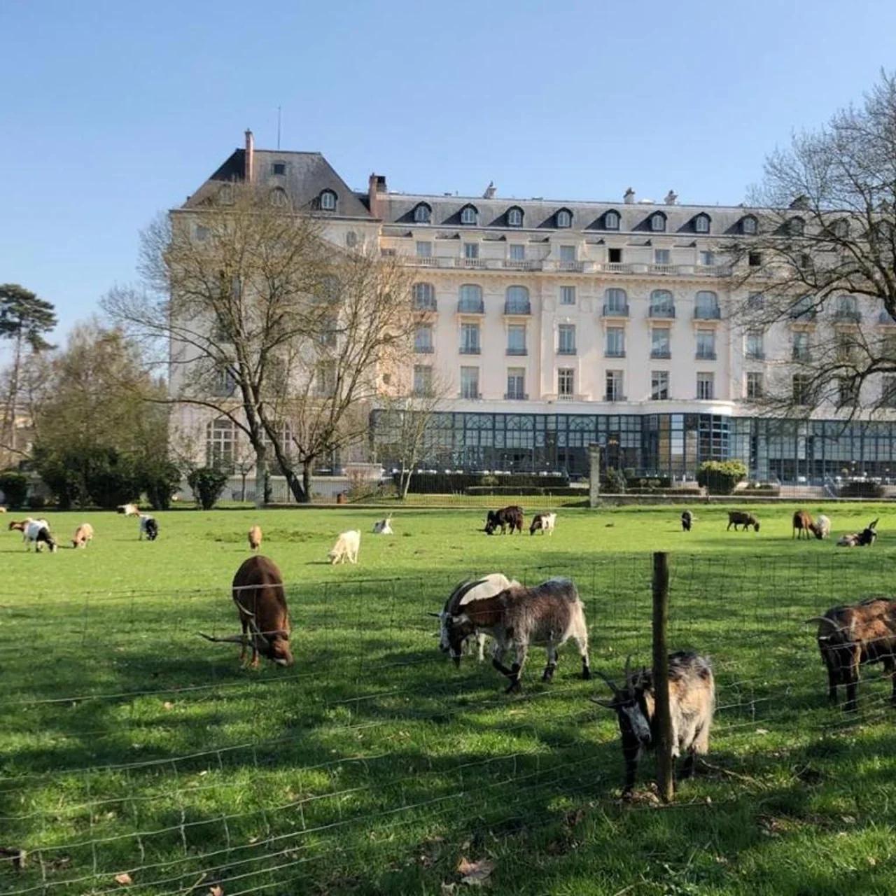 Waldorf Astoria Versailles - Trianon Palace photo