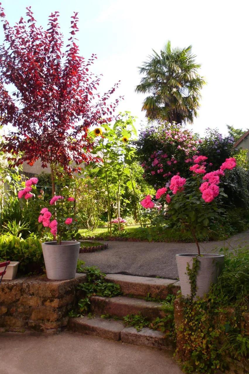 Villa Mons photo