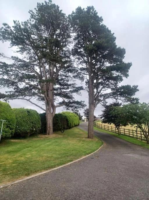 Loughview Retreat in the Mournes photo