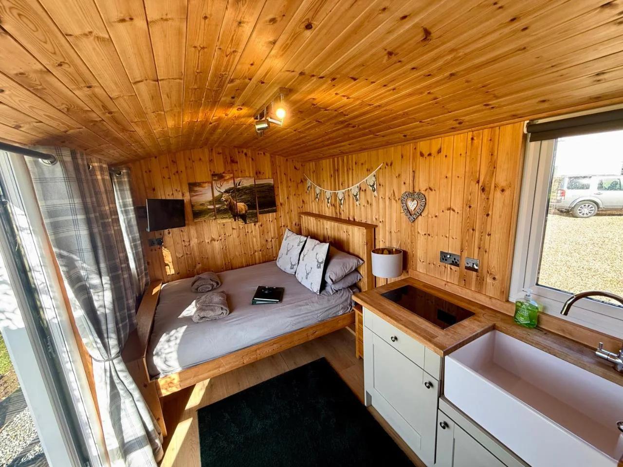 Stags Hide photo