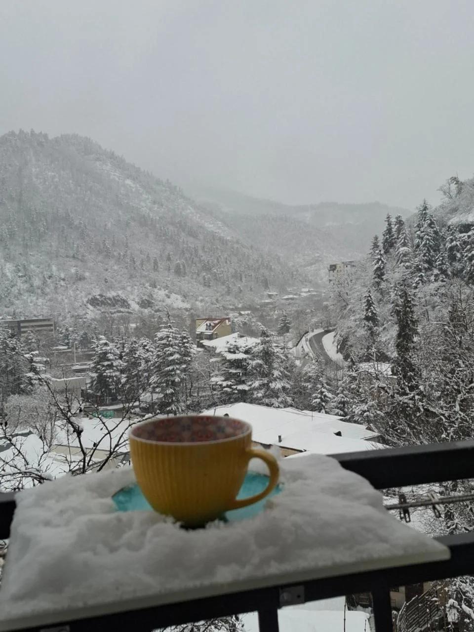 Borjomi Nest photo