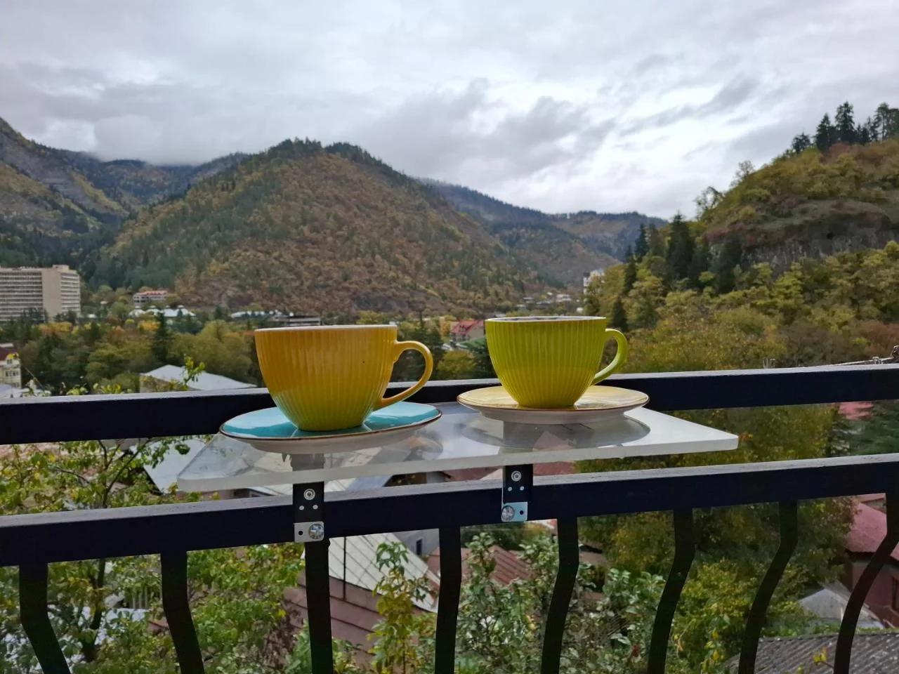 Borjomi Nest photo