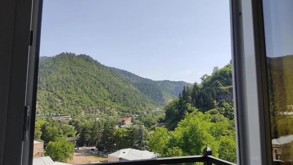 Borjomi Nest photo