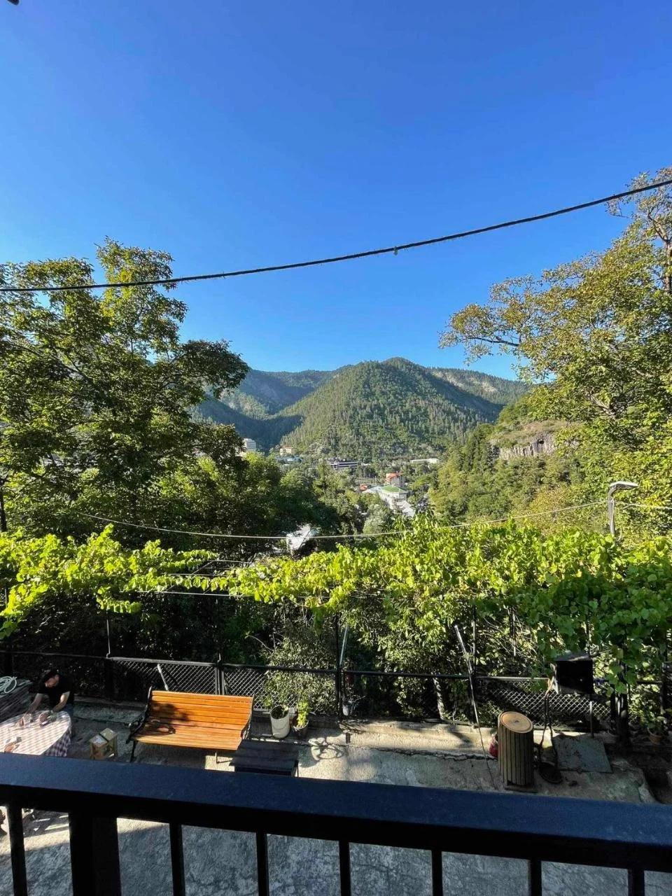 Borjomi View
