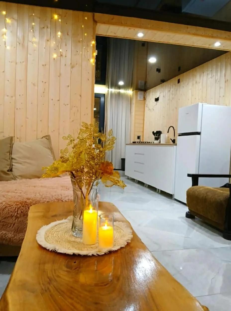Cosy Apartment in Svaneti District photo