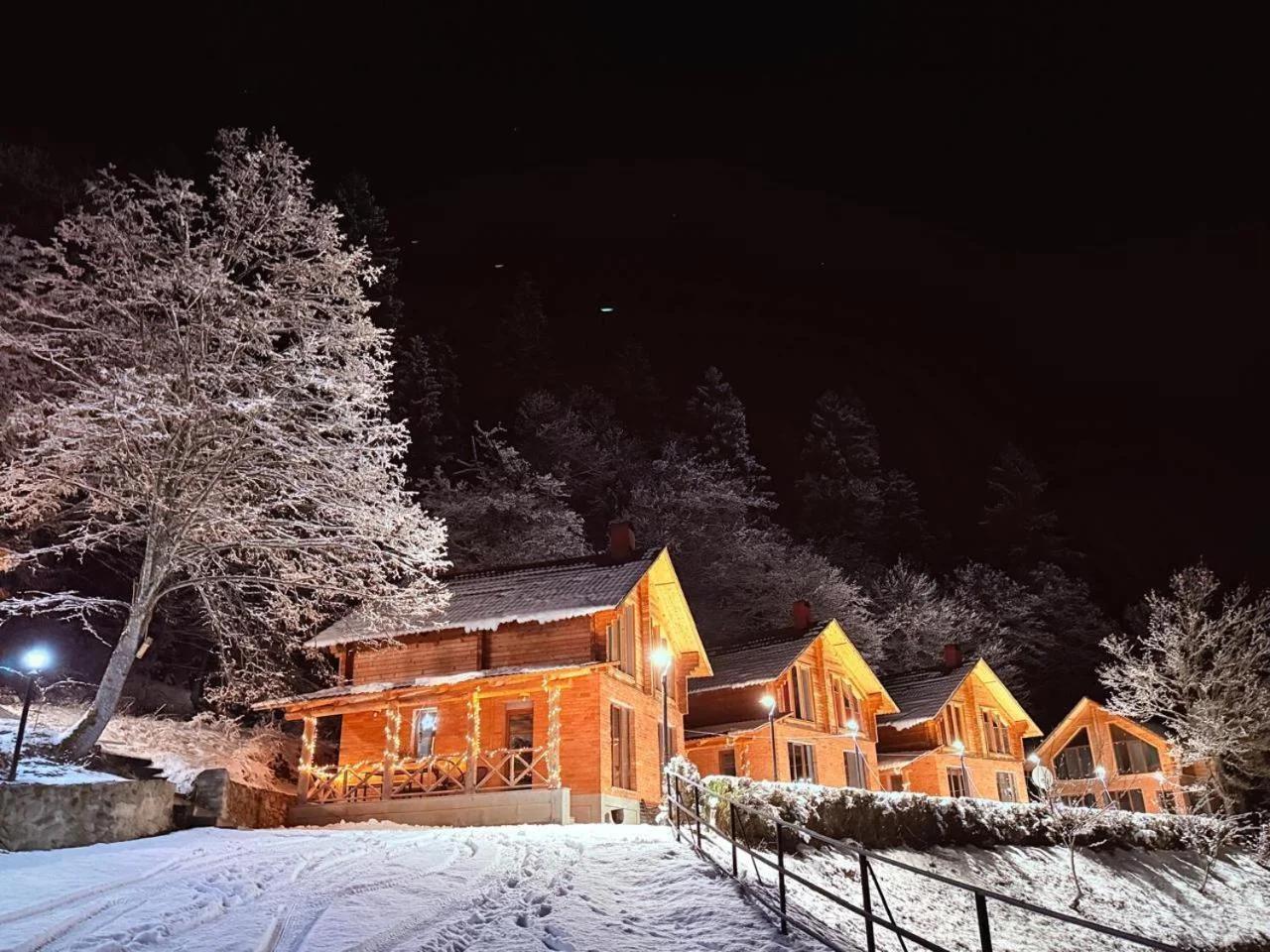 Eko cottages photo