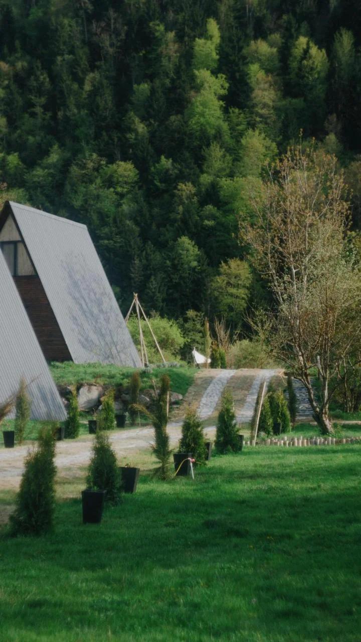 Landhaus Borjomi photo