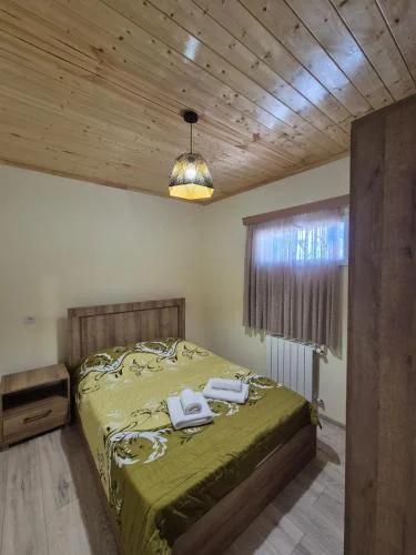 Nova Stay Kutaisi photo