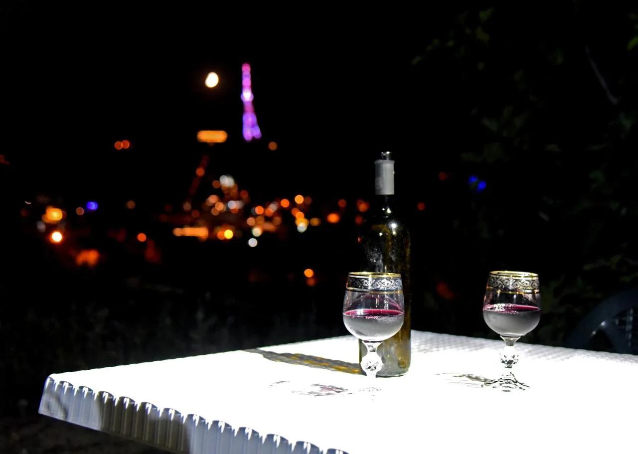 Panorama of Tbilisi