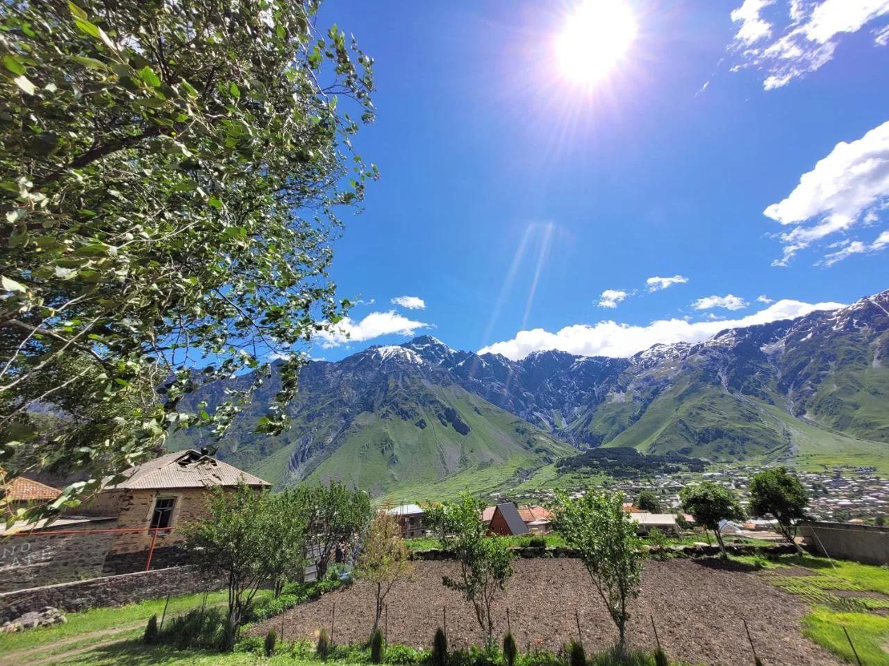 Pine Chalet Kazbegi photo