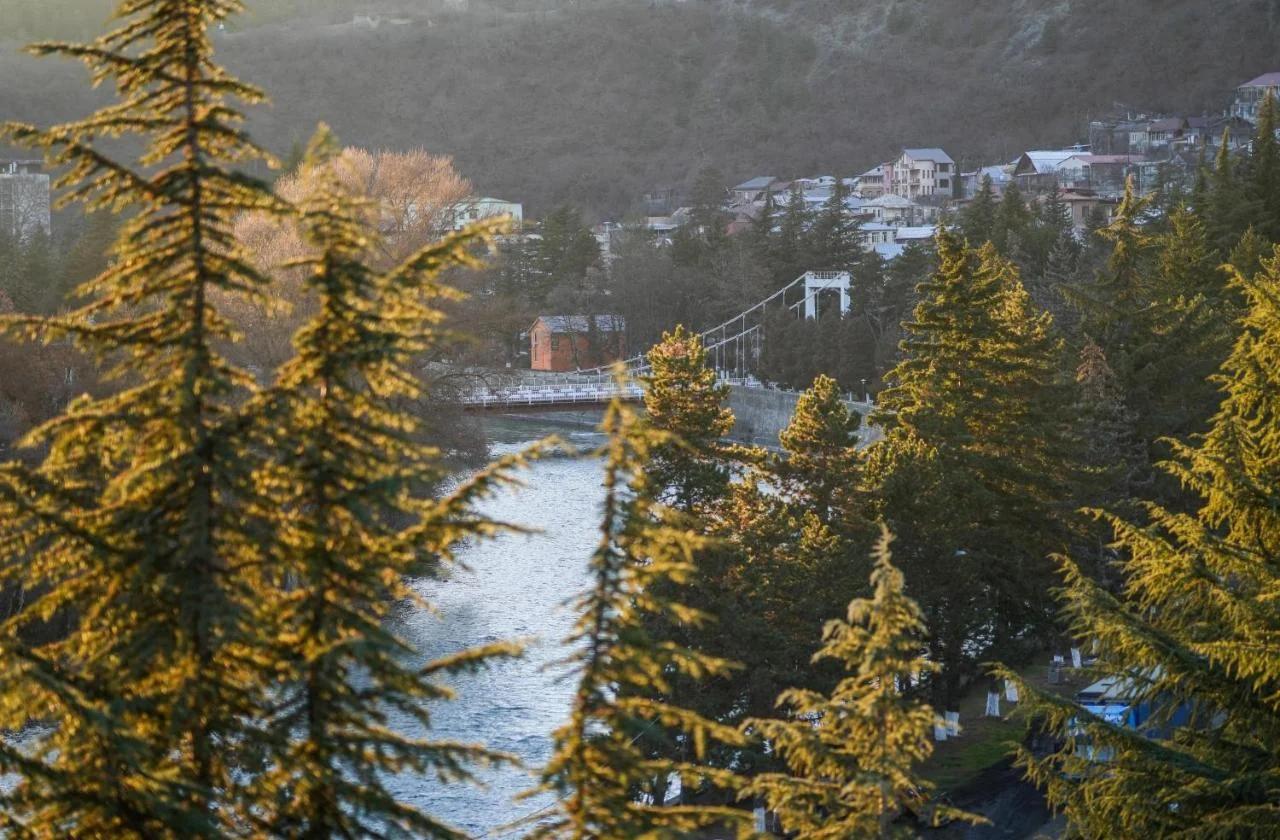 Steel Tower Borjomi photo