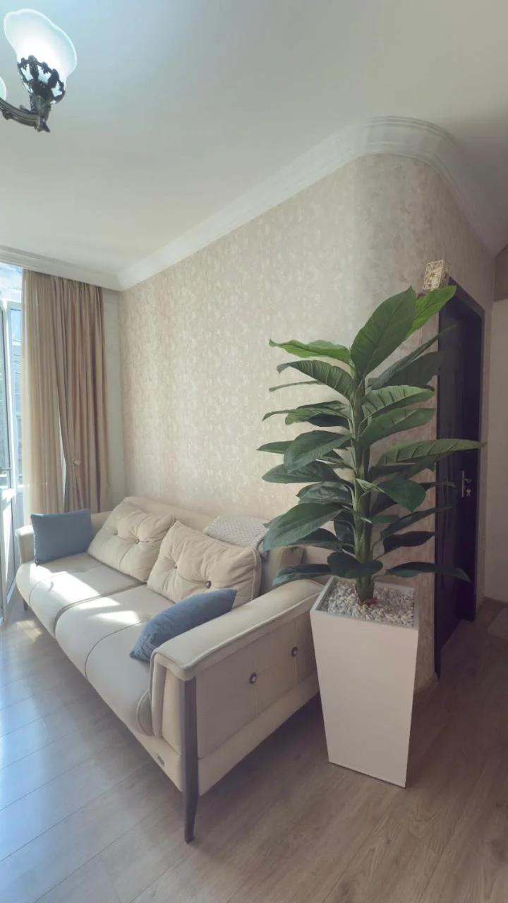 Tamuna apartment photo